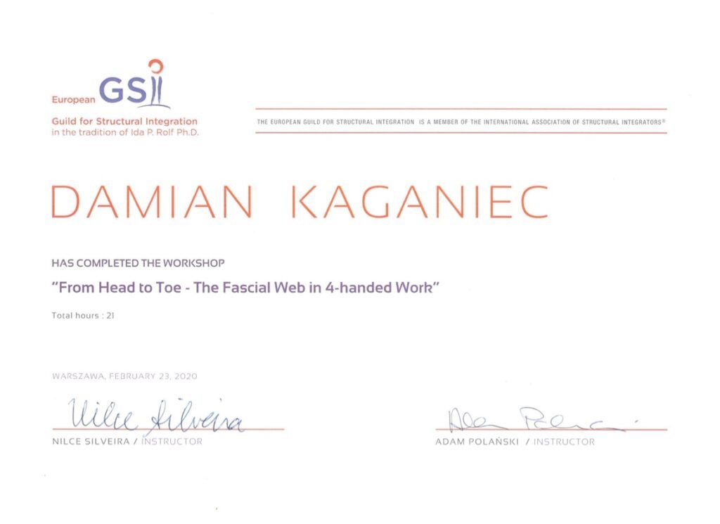 Dyplom European GSI 23.02.2020 - Warsztaty "From Head to Toe - The Fascial Web in 4-handed Work"